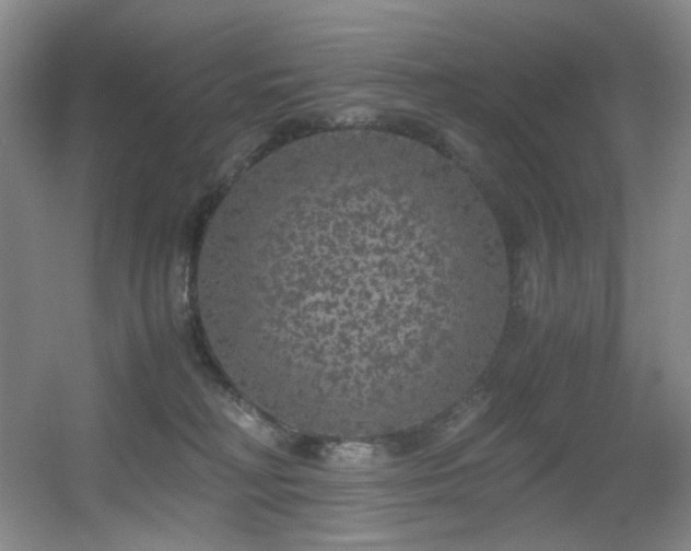 X0000056000230200508221331