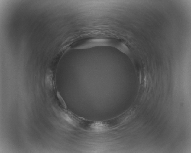 X0000056000231200508221331