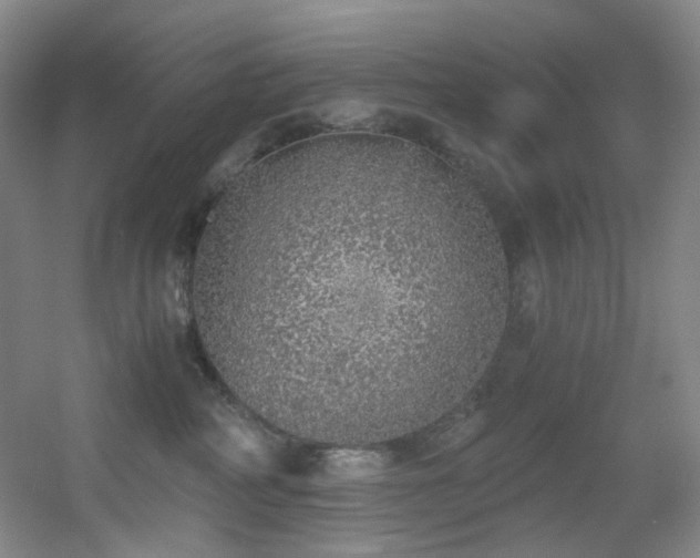 X0000056000234200508221331