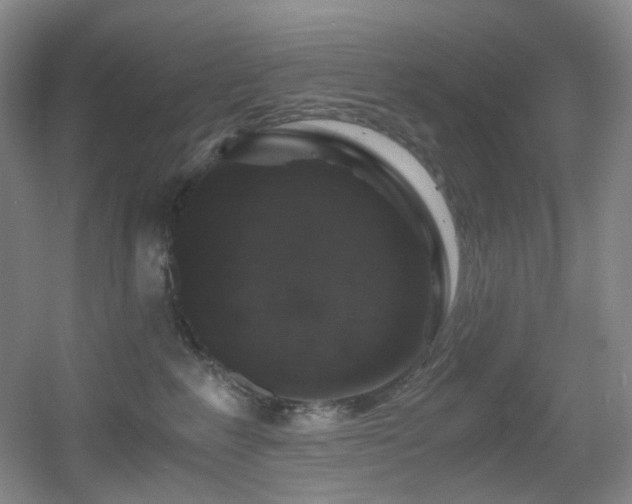 X0000056000235200508221331