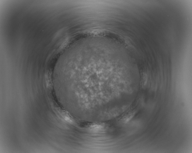 X0000056000236200508221331