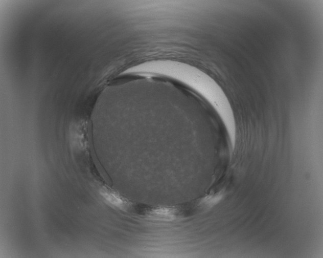 X0000056000237200508221331