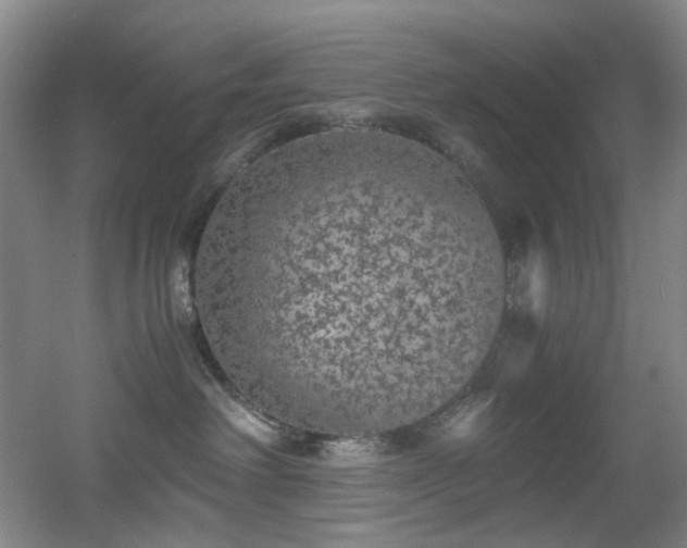 X0000056000238200508221331