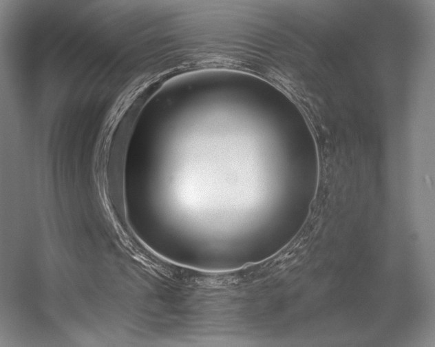 X0000056000241200508221330