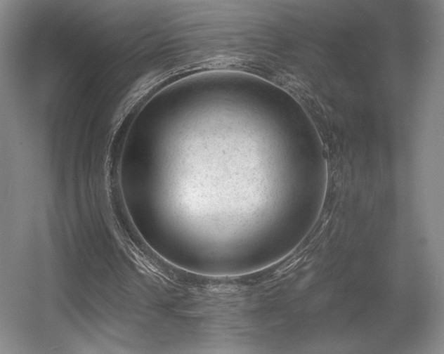 X0000056000242200508221330