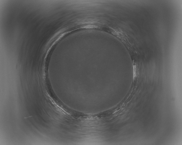 X0000056000243200508221330