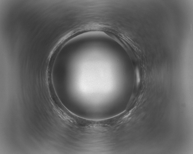 X0000056000244200508221330