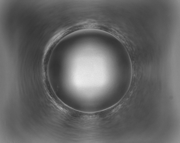 X0000056000245200508221330