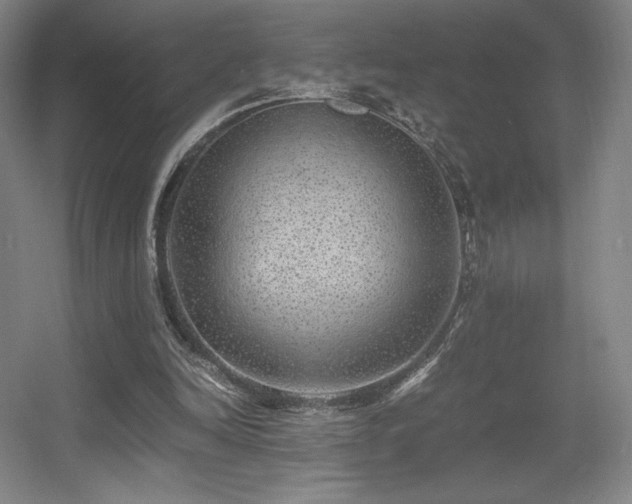 X0000056000246200508221330