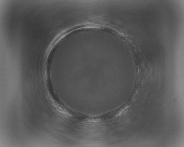 X0000056000247200508221330