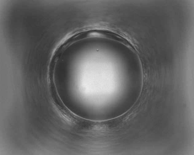 X0000056000248200508221330