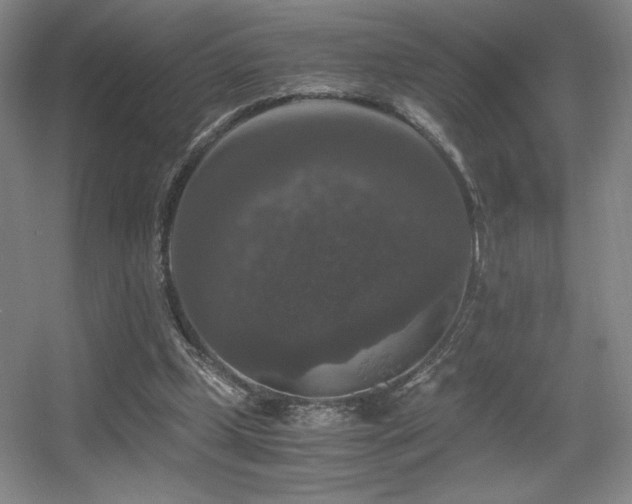 X0000056000249200508221330