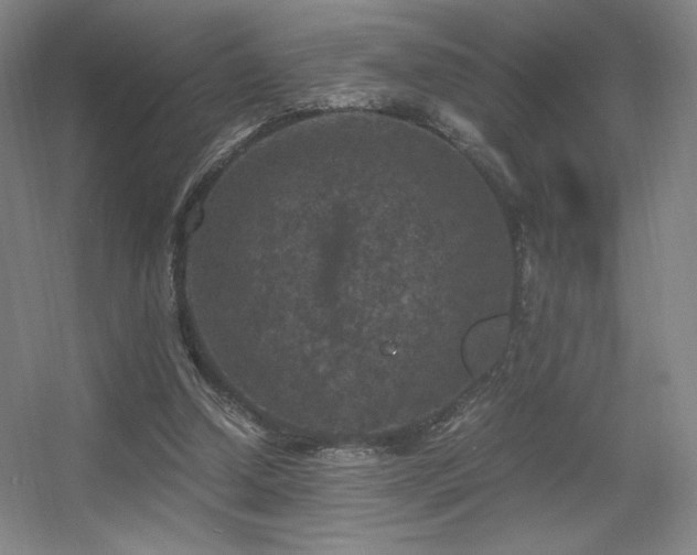 X0000056000250200508221330