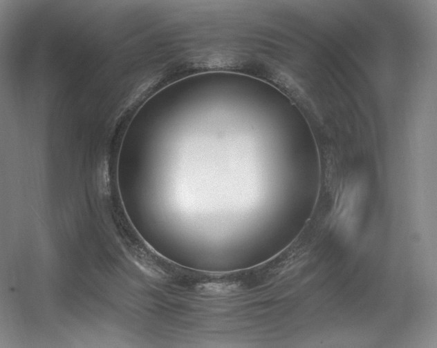 X0000056000251200508221330