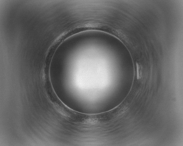 X0000056000252200508221330