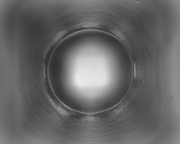 X0000056000253200508221330