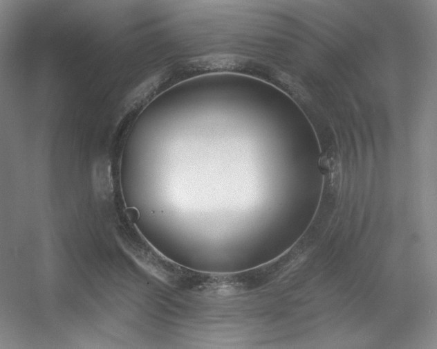 X0000056000254200508221330