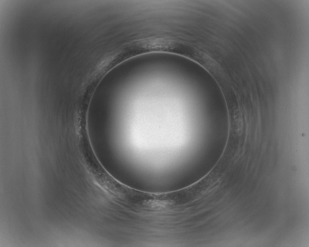 X0000056000255200508221330