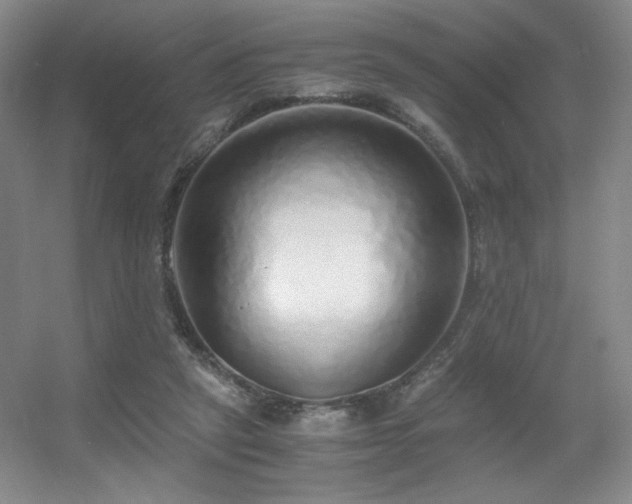 X0000056000257200508221330