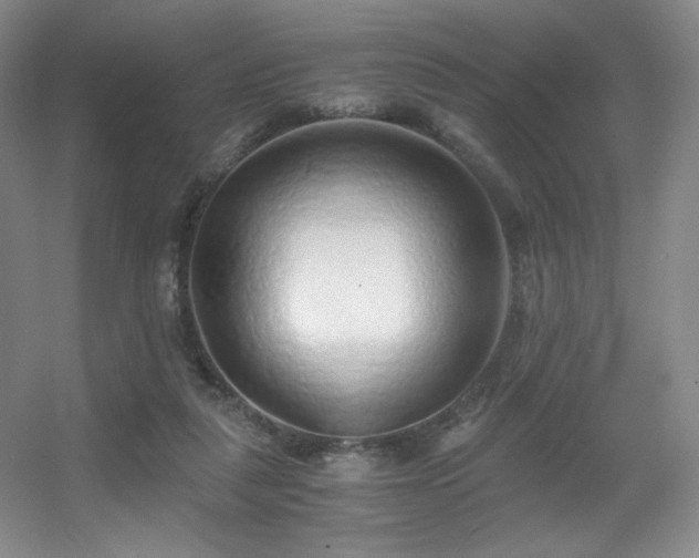 X0000056000259200508221330