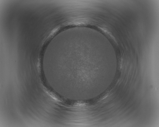 X0000056000260200508221330