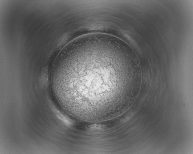 X0000056000261200508221330