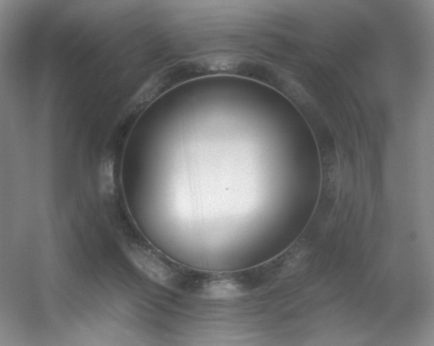 X0000056000262200508221330