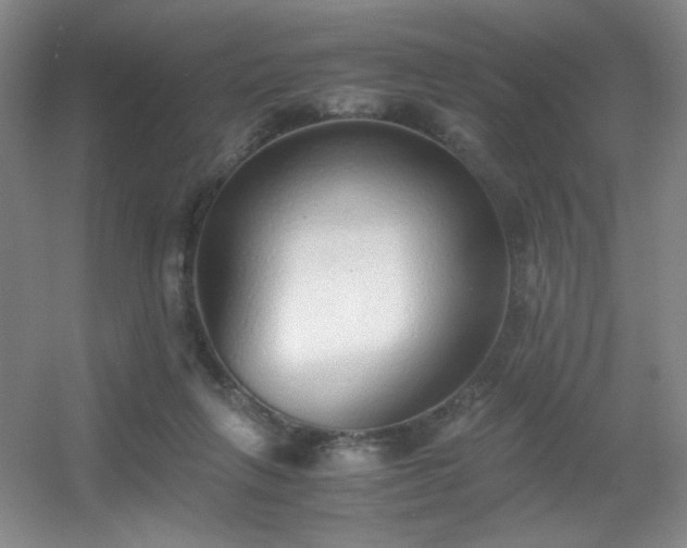 X0000056000263200508221330