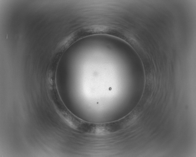 X0000056000264200508221330