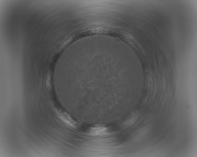 X0000056000266200508221331