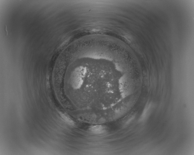 X0000056000269200508221331