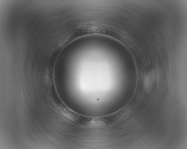 X0000056000270200508221331