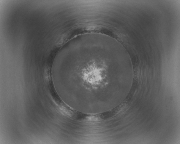 X0000056000272200508221331