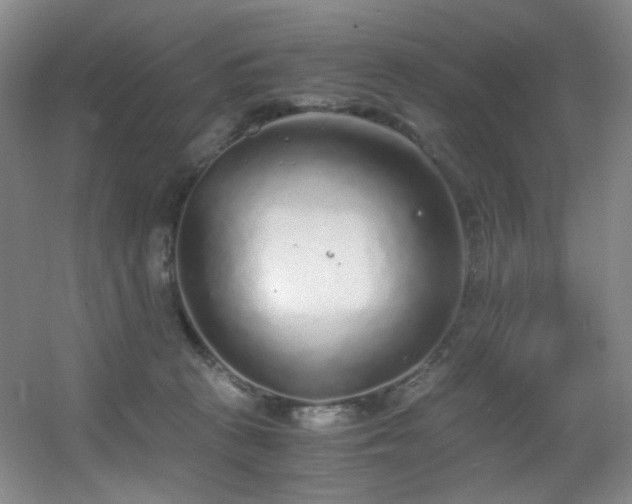 X0000056000273200508221331