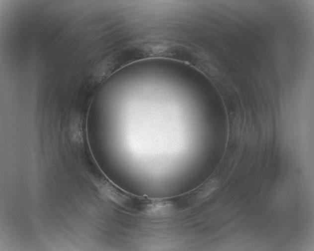 X0000056000274200508221331