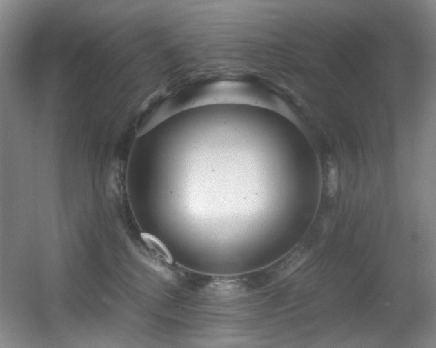 X0000056000280200508221331