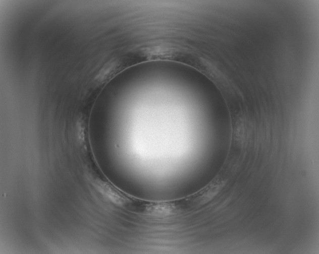 X0000056000282200508221331