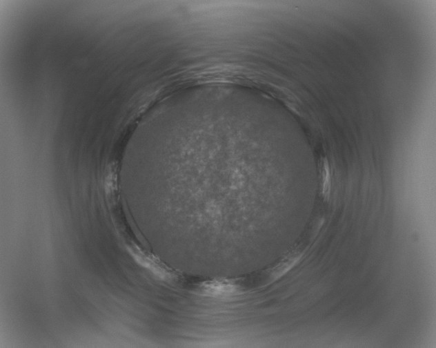 X0000056000284200508221331