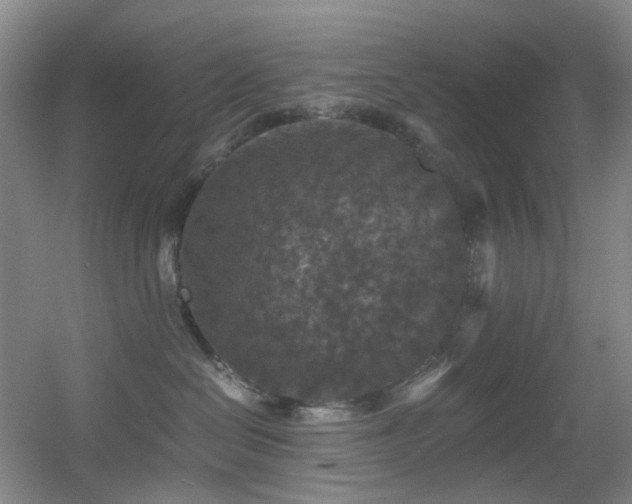 X0000056000286200508221331