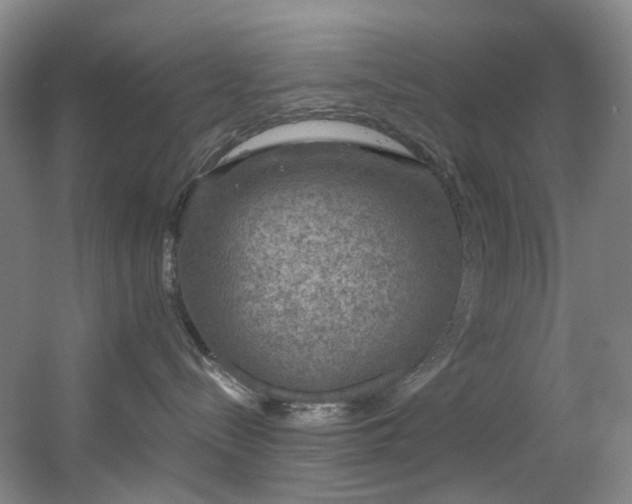 X0000056000288200508221331