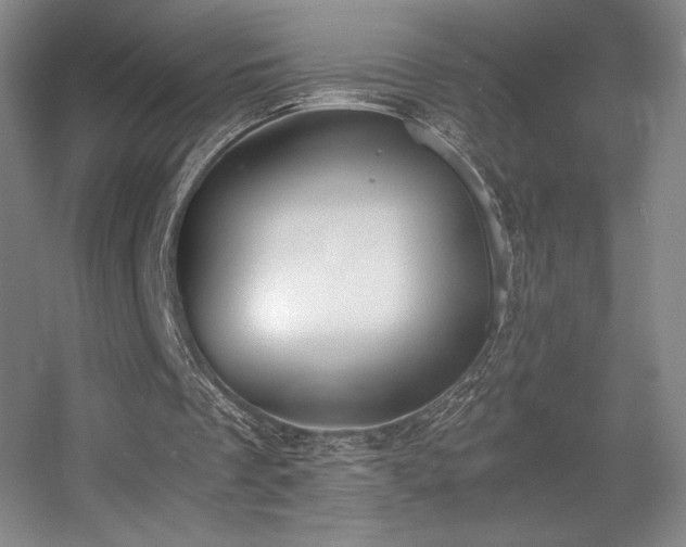 X0000056000289200508221330