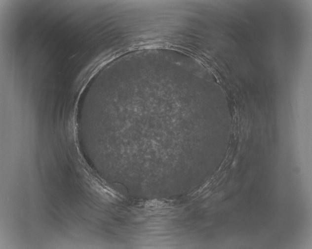 X0000056000290200508221330