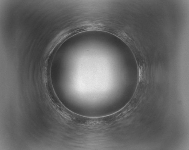 X0000056000291200508221330