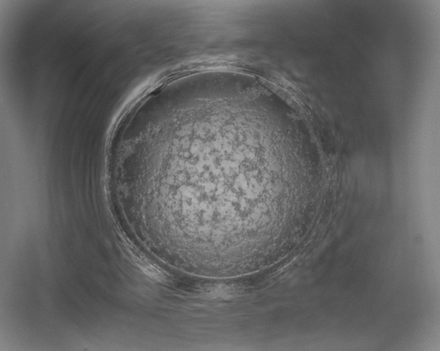 X0000056000293200508221330