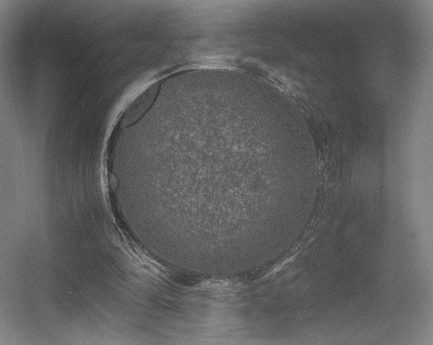 X0000056000294200508221330