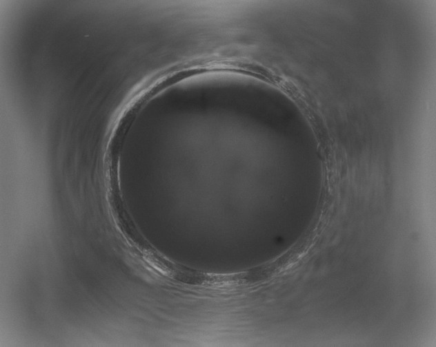 X0000056000295200508221330