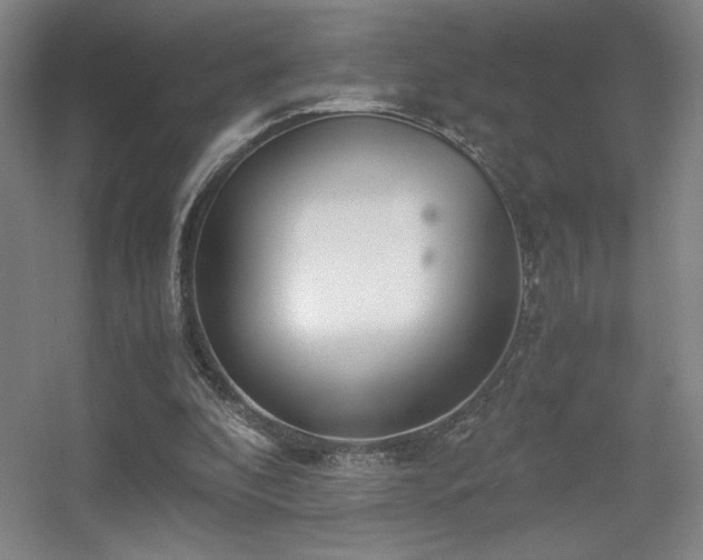 X0000056000296200508221330