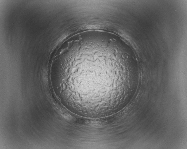 X0000056000297200508221330