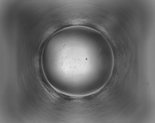 X0000056000299200508221330