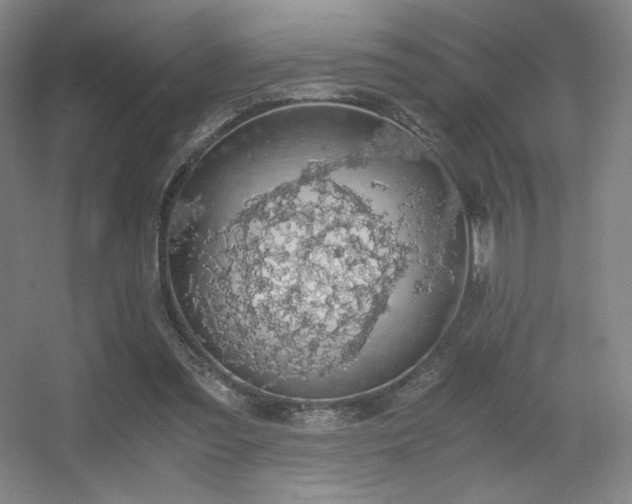 X0000056000301200508221330